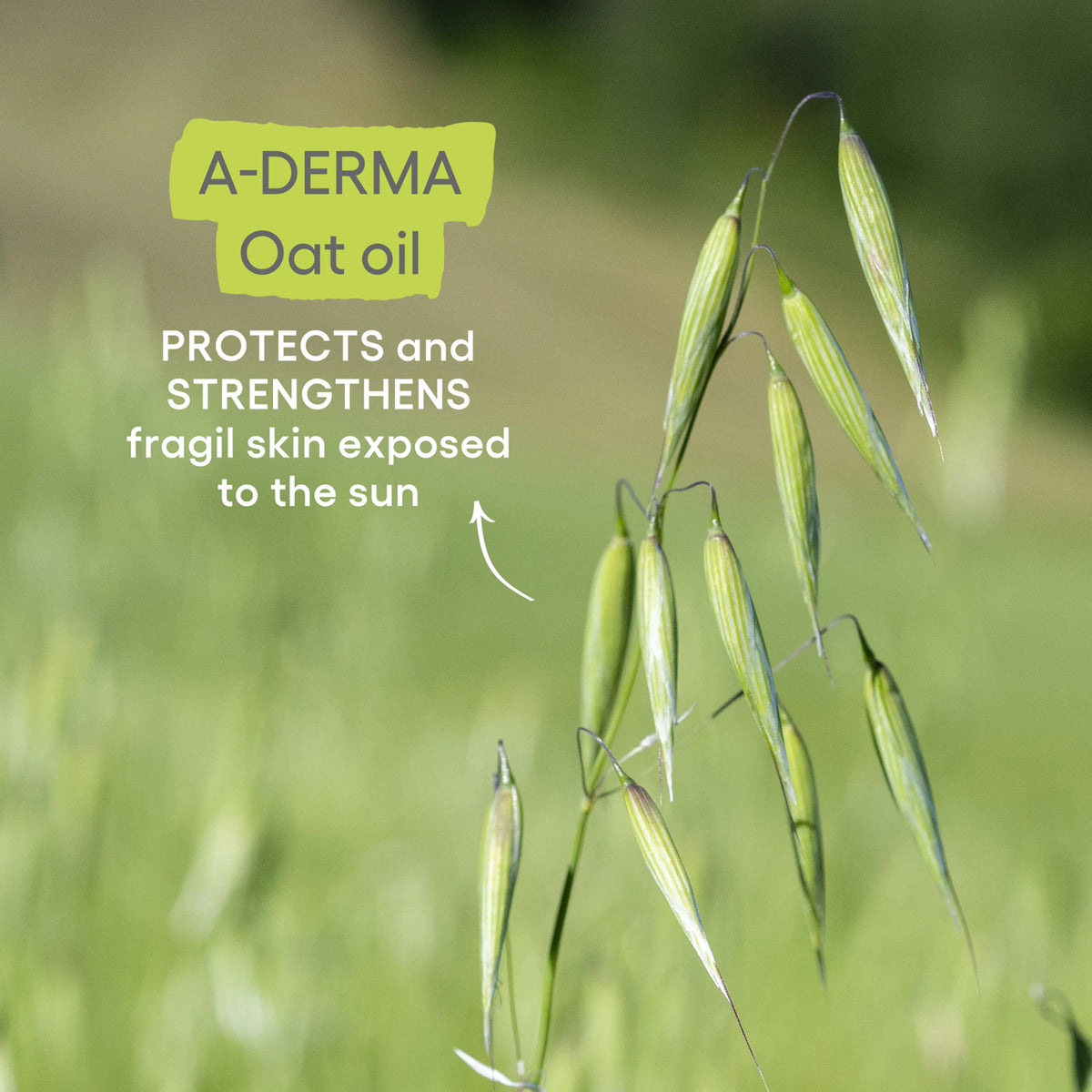 A-Derma Protect AH Lotion After Sun 250ml